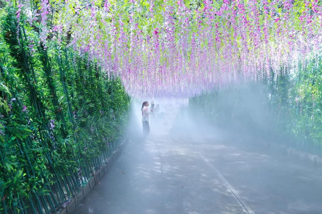 云雾缭绕的观音山人间仙境,云游观音山