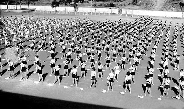 日本爆发高致命传染病,一个流感病毒让多少人丧生