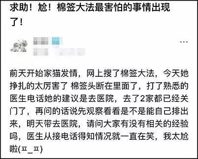 猫咪猫闹该怎么办？现在还有人相信棉签*法大**？