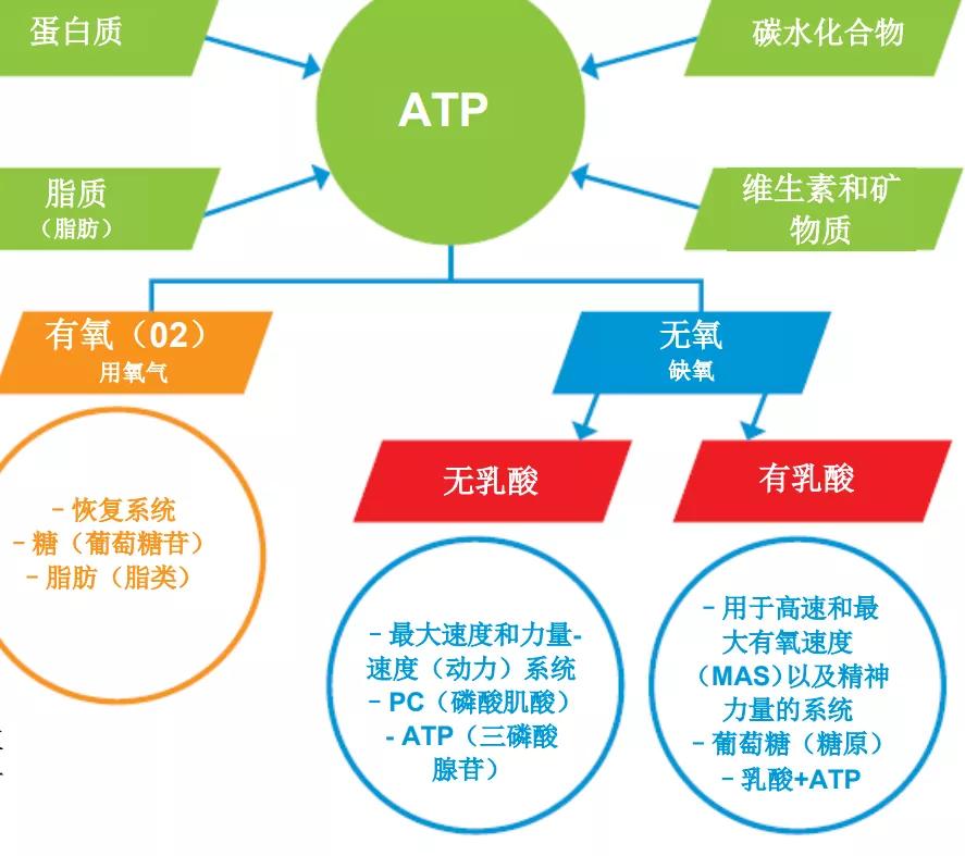 王之者足球培训中心,王之者足球培训中心怎么样