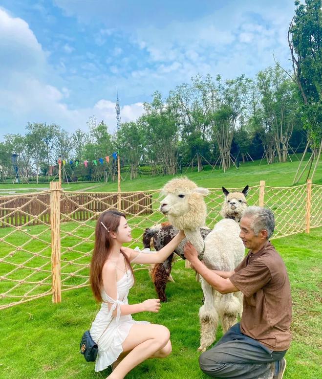 丰都龙景花园避暑房,丰都南天湖避暑房推荐