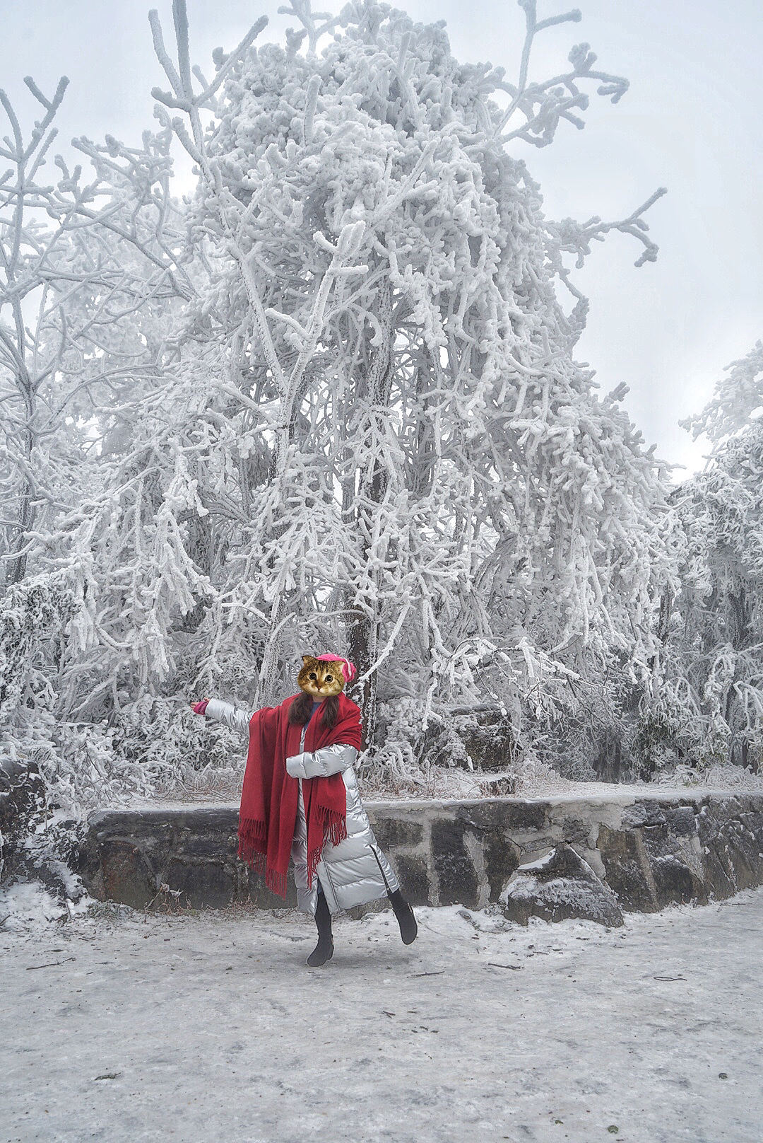 张家界雪季攻略,冬天湖南张家界攻略