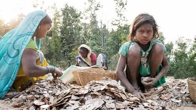 残酷真相：你包里的高光眼影，是无数4岁孩子拿命换的