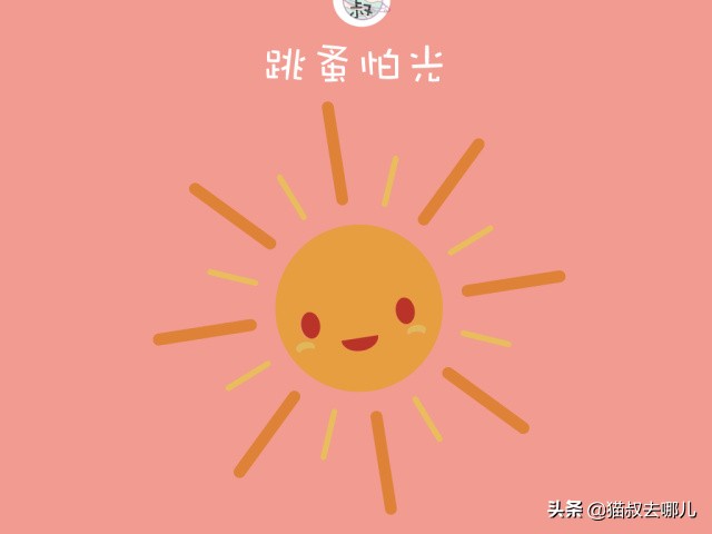 养猫的家庭如何除跳蚤,家里养猫除跳蚤最有效的方法