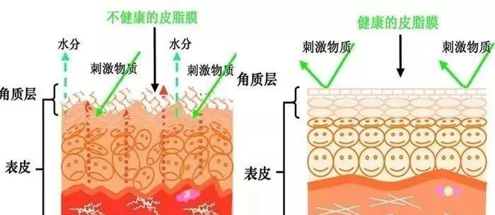 所有皮肤问题怎么导致的,大多数人的皮肤问题是什么