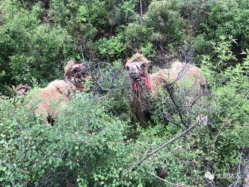 云泉谷峡谷漂流天空之境,云泉谷漂流一日游