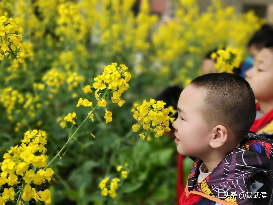 孩子开学生活步入正轨视频,开学后的校园生活