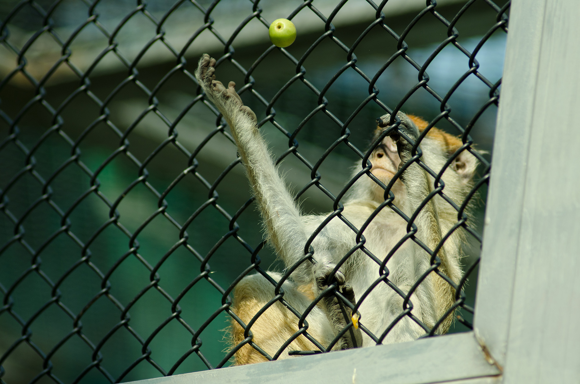 尼康d7000和d700画质对比,尼康d700012年