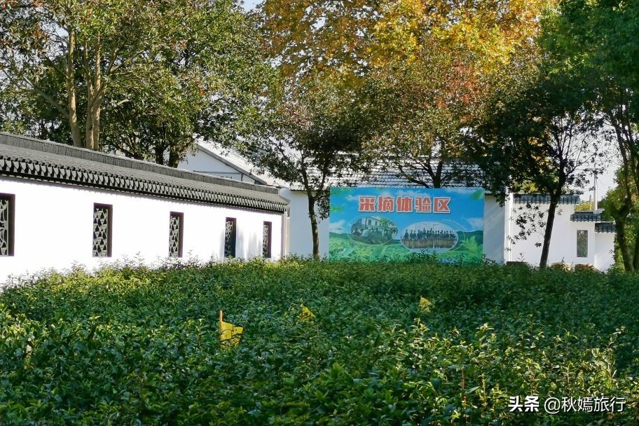 常熟海虞铜官山景区有什么,常熟海虞铜官山生态观光园