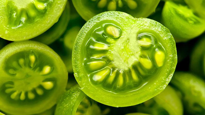 西红柿用的催熟剂对人有害吗,西红柿催熟剂用早了有什么危害