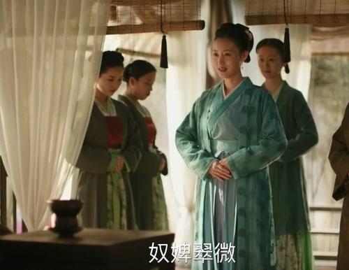 知否明兰一个人,知否里明兰丫鬟丹橘