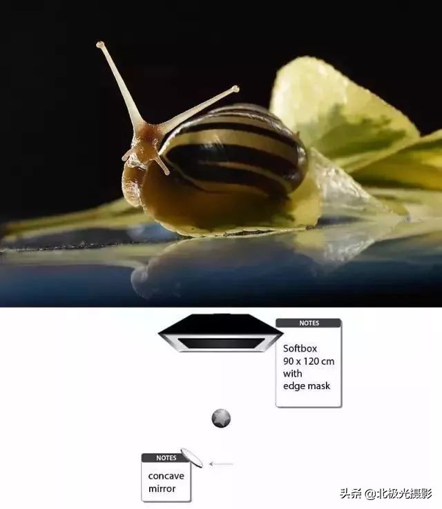 学习更多的摄影用光技巧,掌握摄影用光的技巧