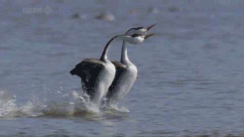 瑜伽一对一私教靠谱吗,深圳瑜伽私教男老师一对一
