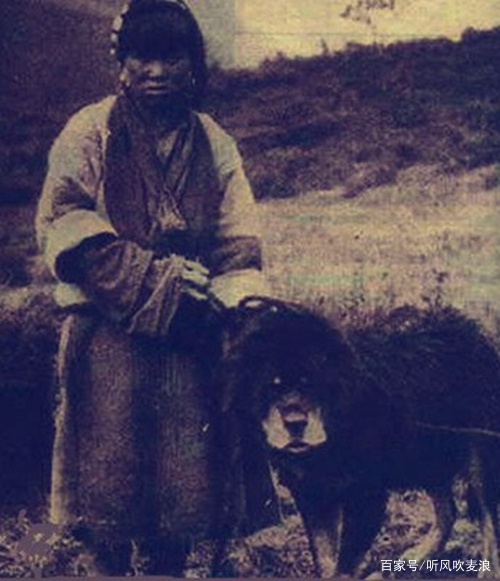 《遥远的乡愁》:老杨有过“背狼”经历,所以练就了一双铁脚板