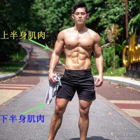 一副哑铃练遍全身肌肉新手,哑铃锻炼全身肌肉视频