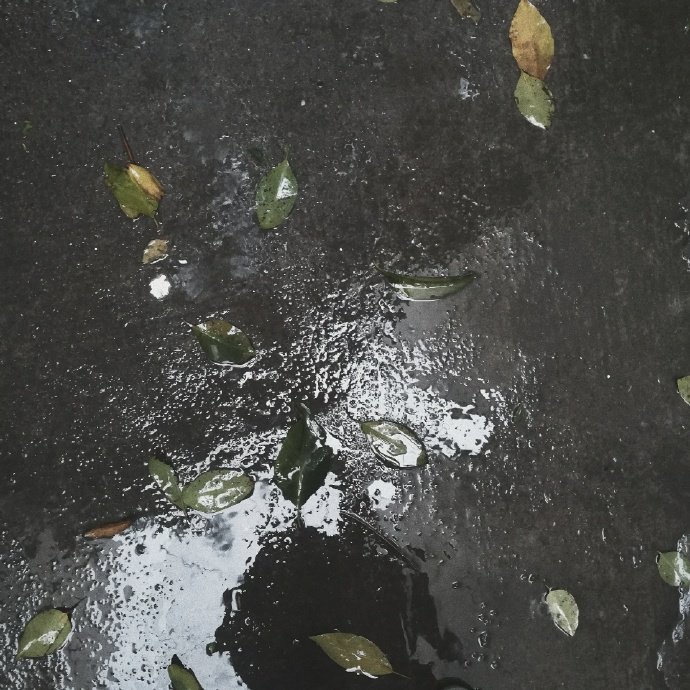 很不错的一句话,很不错的句子收藏起来吧