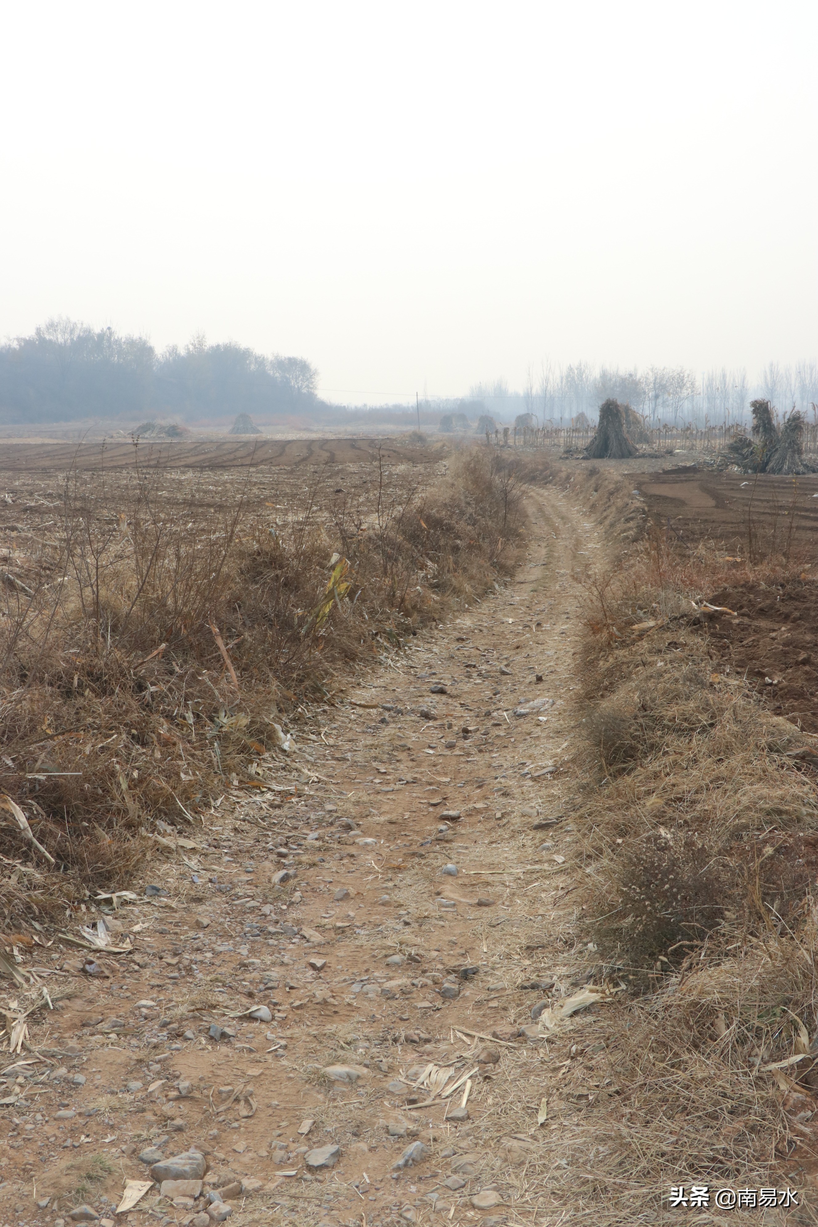 家乡风景带你一起感受自然的味道,令你难以忘怀的家乡的味道