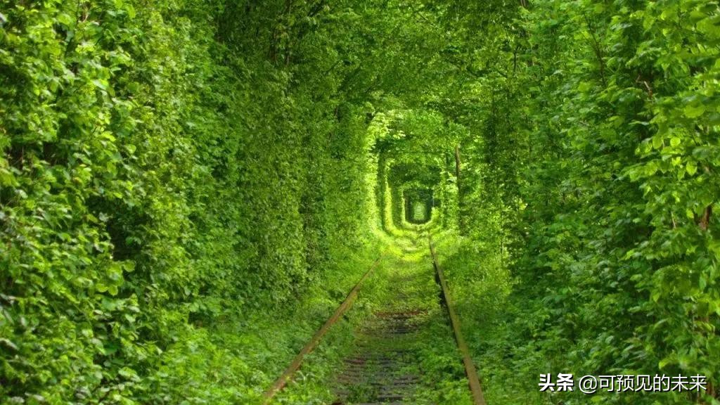 神奇的自然景观竖屏,神奇的自然景观