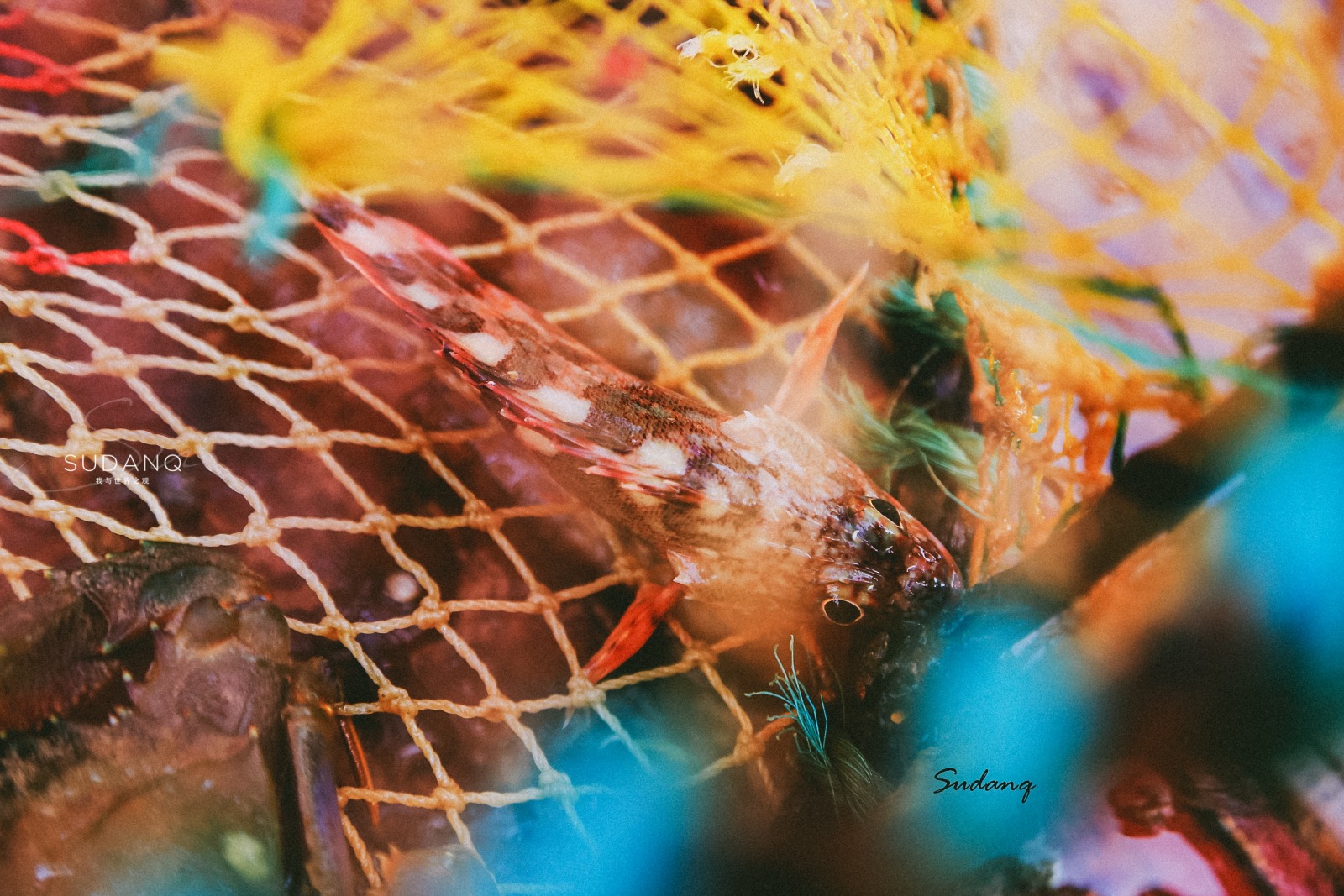 陆地尽头是哪里,海上仙山嵊泗列岛