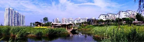 绿色美丽的生态环境,津南绿色生态