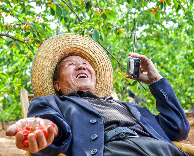 开封博爱网络樱桃节,博爱樱桃节是什么时候