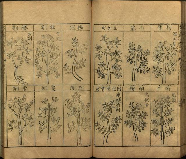 李时珍本草纲目书目录,李时珍本草纲目下卷