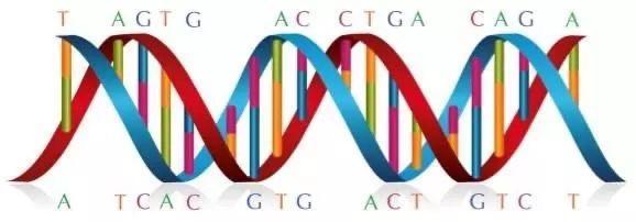 基因潘多拉魔盒,神秘的潘多拉魔盒