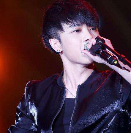 华晨宇快男夺冠之夜,华晨宇快男夺冠日期