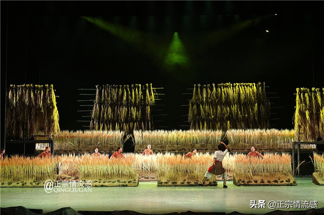 夜色成都串串爽，魅力小金苹果香#国庆中秋趣哪玩#