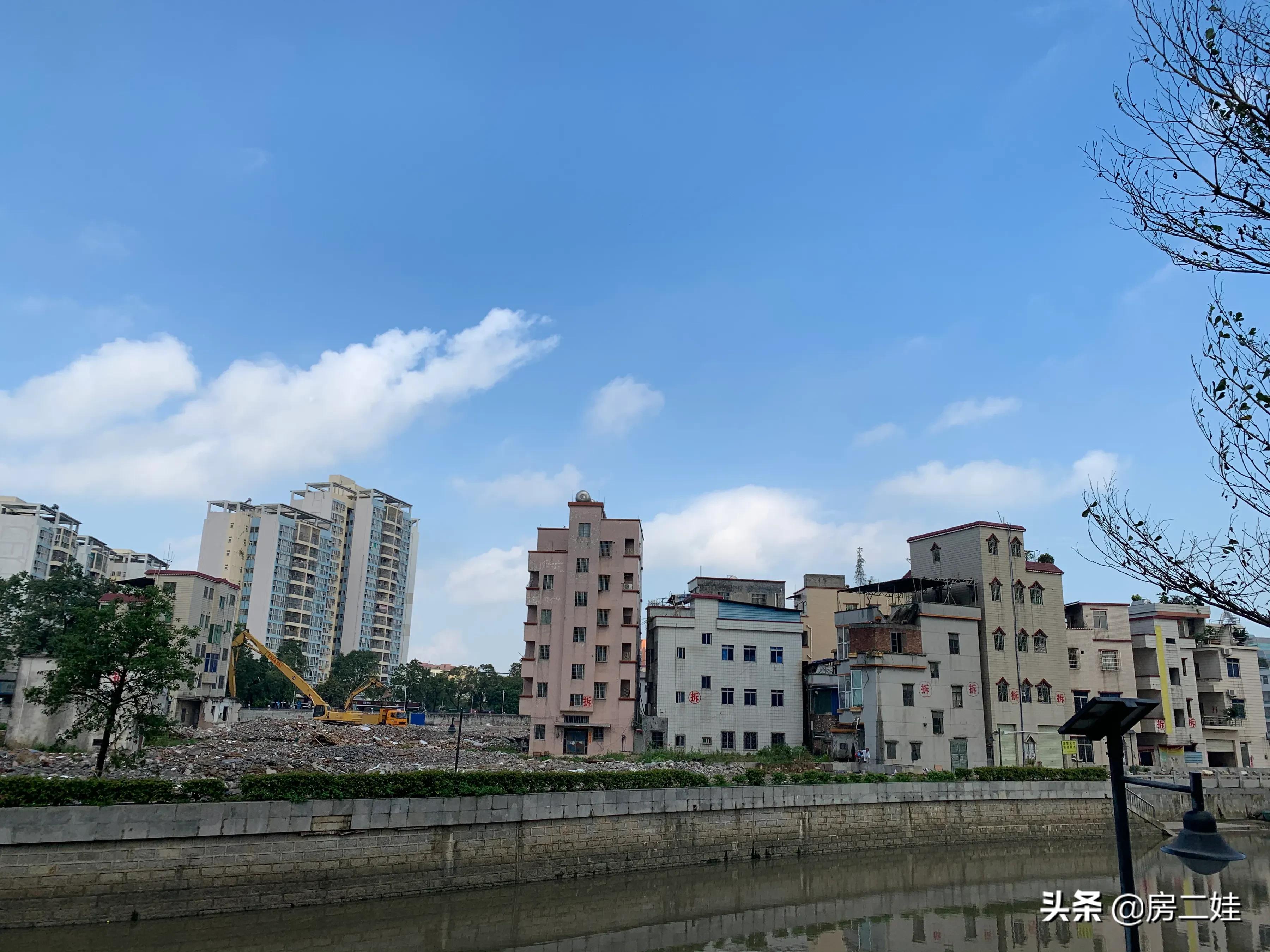 二娃短评,二娃最新点评视频