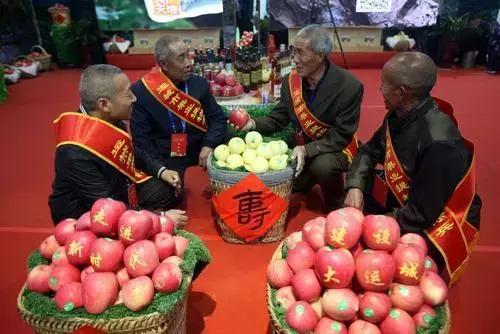 运城苹果的出口产量,运城的苹果好不好