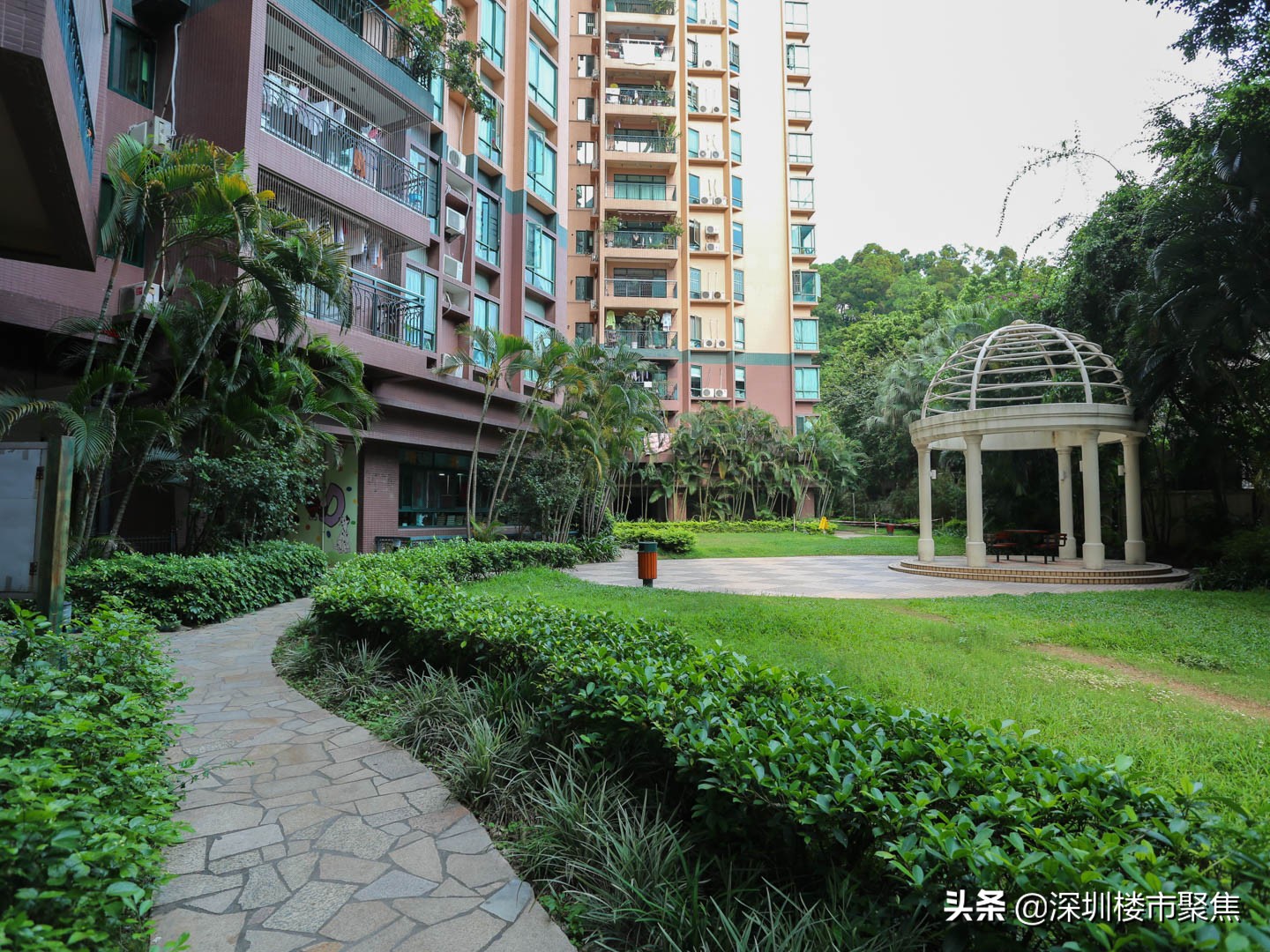 深圳罗湖区有哪些名校,翠园东晓中学在深圳排名