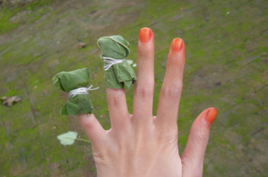 凤仙花可以用色素染色吗,凤仙花只有用来染指甲颜色吗