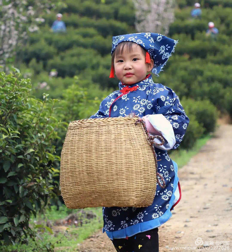 金色童年8张图片,金色的童年相片