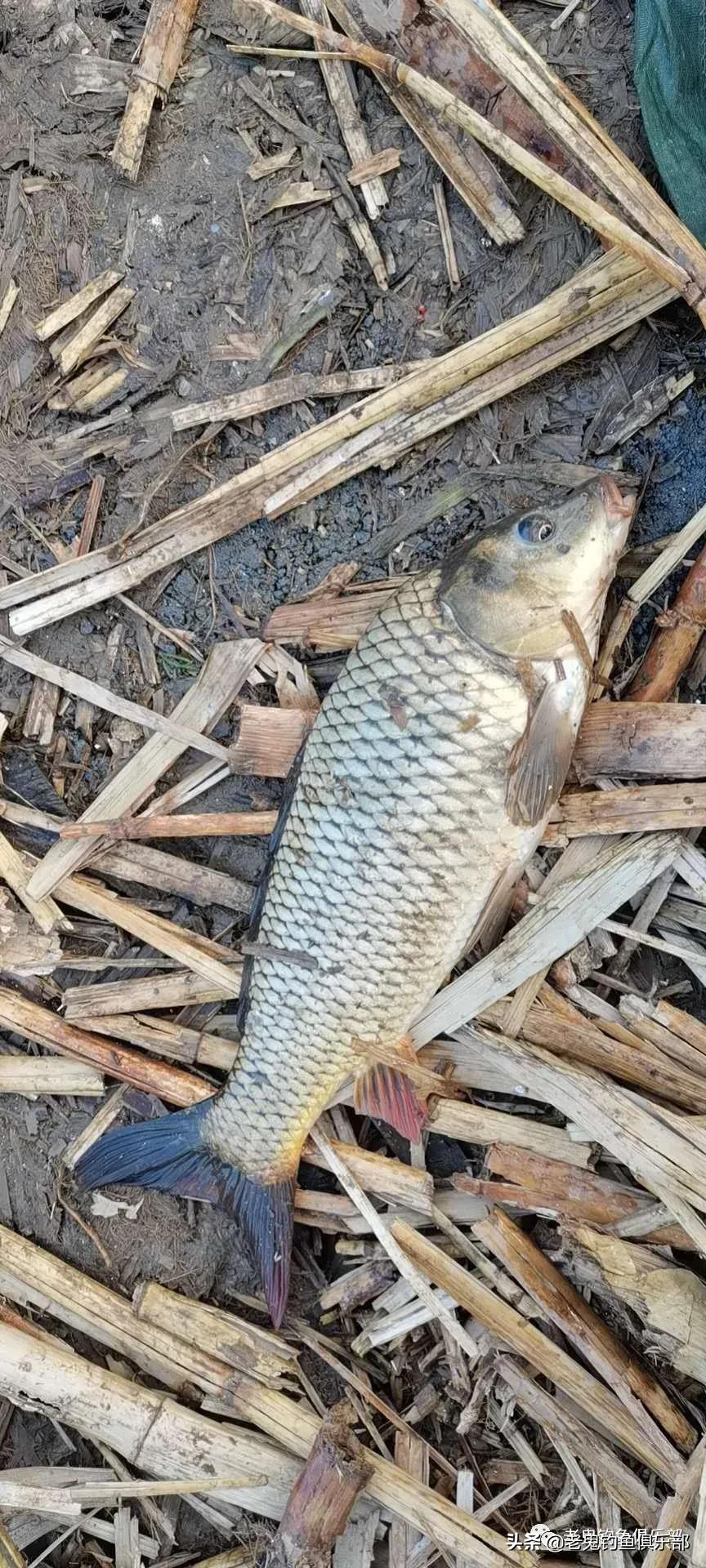 济南天气多变,济南天气变化