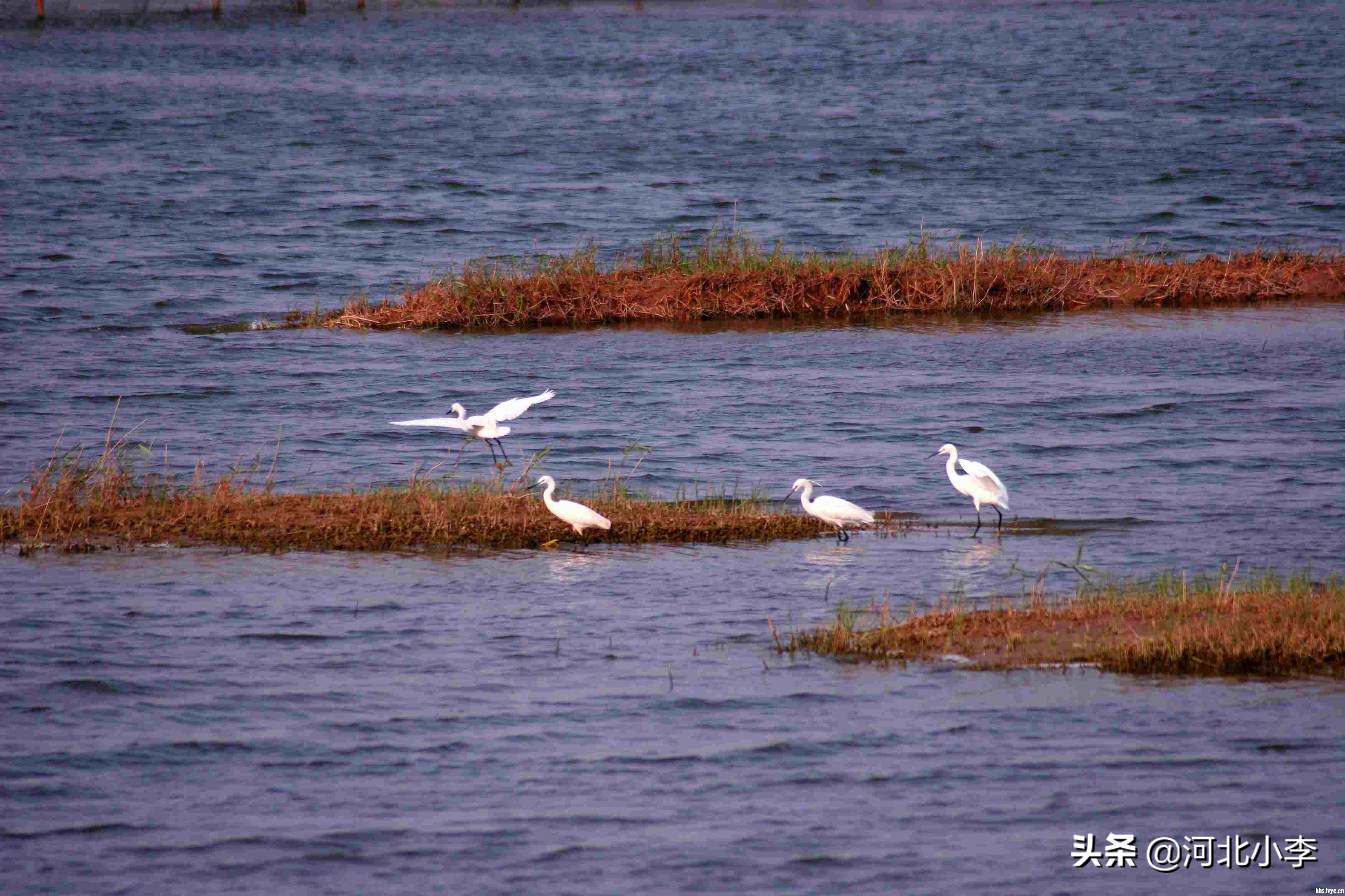 河北各市区县大全,河北各地级市通高铁时间表