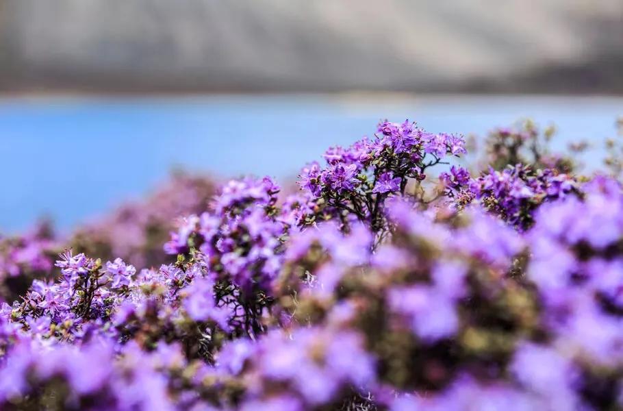 中国唯一不收费的高速公路,中国旅游风景最好的四条高速