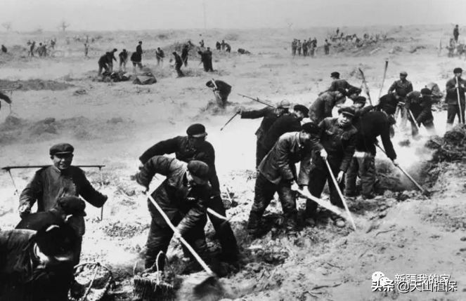 阿拉尔将成为南疆最大的城市,南疆阿拉尔市