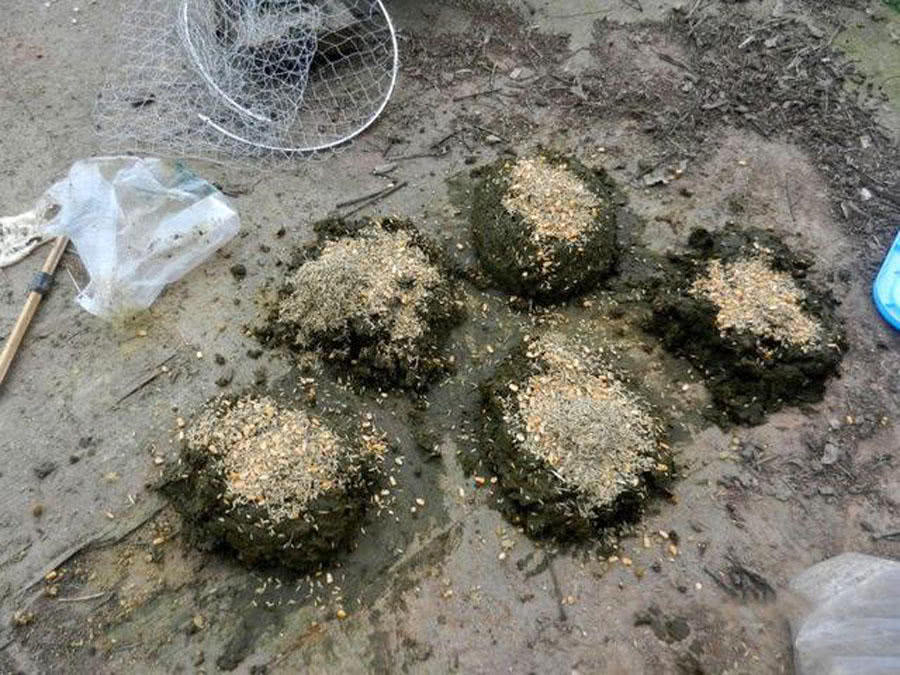 玉米粒钓大鱼最佳钓鱼方法,如何正确用玉米粒钓鱼