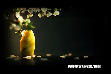 跳出一个圈子又进了别人的圈子,既要跳出圈子又要融入圈子