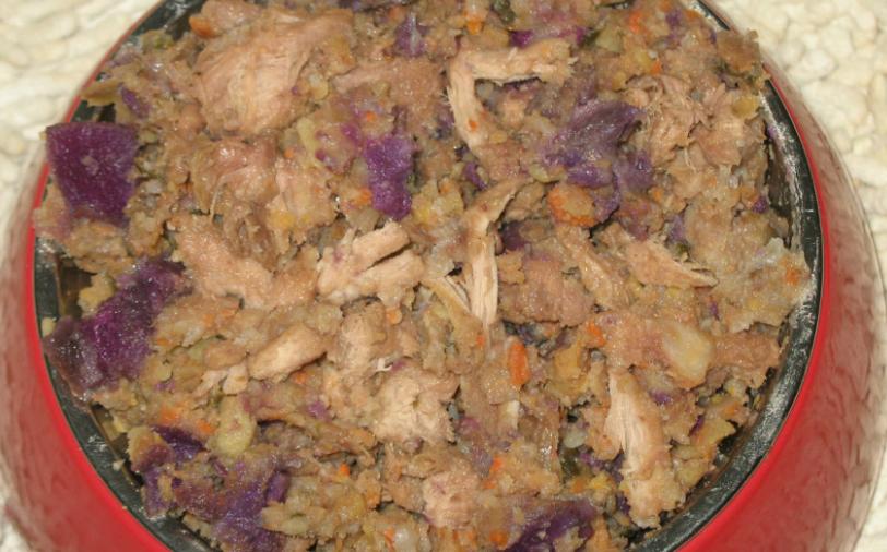 狗肾衰竭最好的治疗方法,狗肾衰竭的特效药