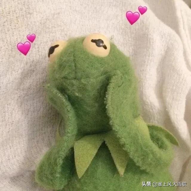 最新笑料合集，哈哈哈哈哈哈哈哈哈哈哈奇怪的知识又增加了