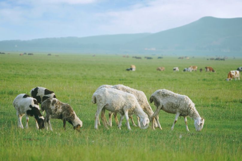 驼梁景区自驾游记,驼梁两日游游记