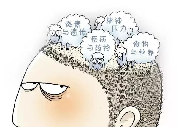 生小孩后头发掉得厉害是什么原因,头发掉光了长起来又掉是什么原因