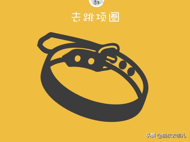 养猫的家庭如何除跳蚤,家里养猫除跳蚤最有效的方法