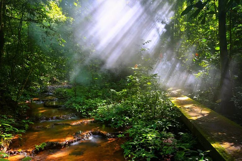 收好这份云南最新5a景区名单,云南的5a级景区有哪些