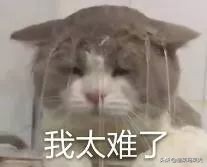 留学生做海外代购,留学生做日本代购好做吗