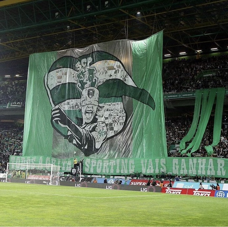 c罗足球生涯介绍,足球c罗的传奇之路