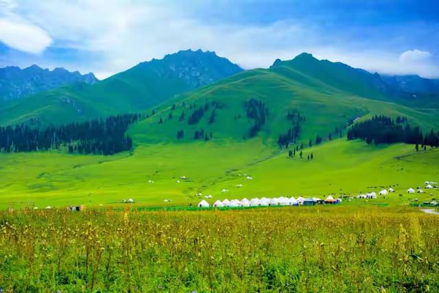 第一次去新疆玩南疆还是北疆合适,去南疆还是南北疆一起去