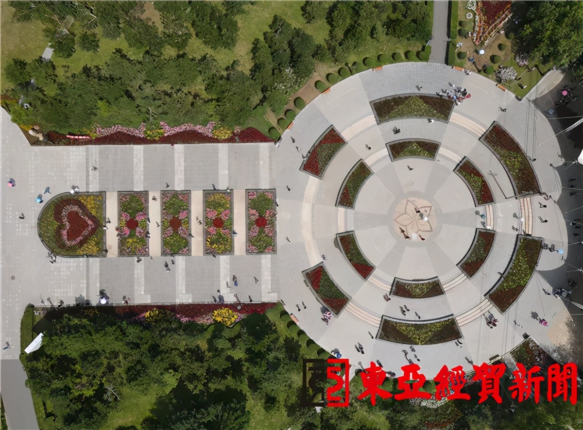 长春公园芍药花陆续绽放,长春公园百合图片大全